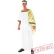 Roman warrior Athena goddess costume freedom goddess