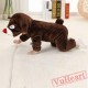 Brown Bear Kigurumi Onesies Pajamas Costumes Toddler Onesies for Baby