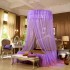 Elegant Lace Purple Mosquito Net for Double Bed